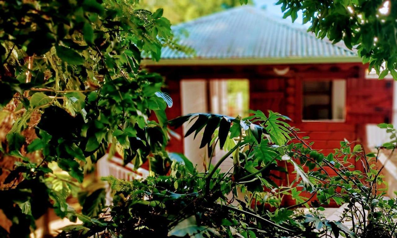 Gite Mamour - Charmant Petit Bungalow A Decouvrir Baillif Exteriér fotografie